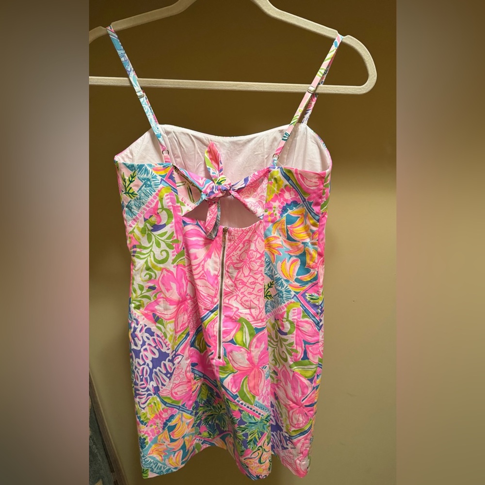 Lilly Pulitzer Shelli Stretch Block Party Floral Multicolor Dress - Picture 5 of 7